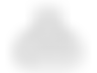 PÃO FRANCÊS INTEGRAL 