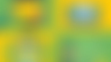 Brasileiros entre as maiores vítimas de Phising