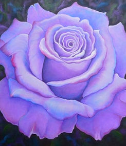 Lavender Rose