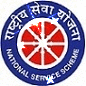 nss logo.gif