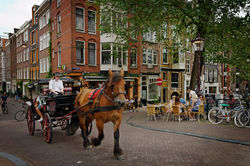 Day_Photography_Workshops_with_©InbalTurShalom_004