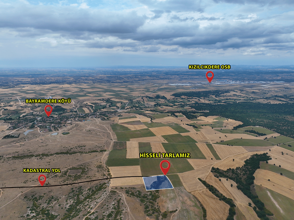 dji_fly_20240725_130354_7_1721982537897_photo.png