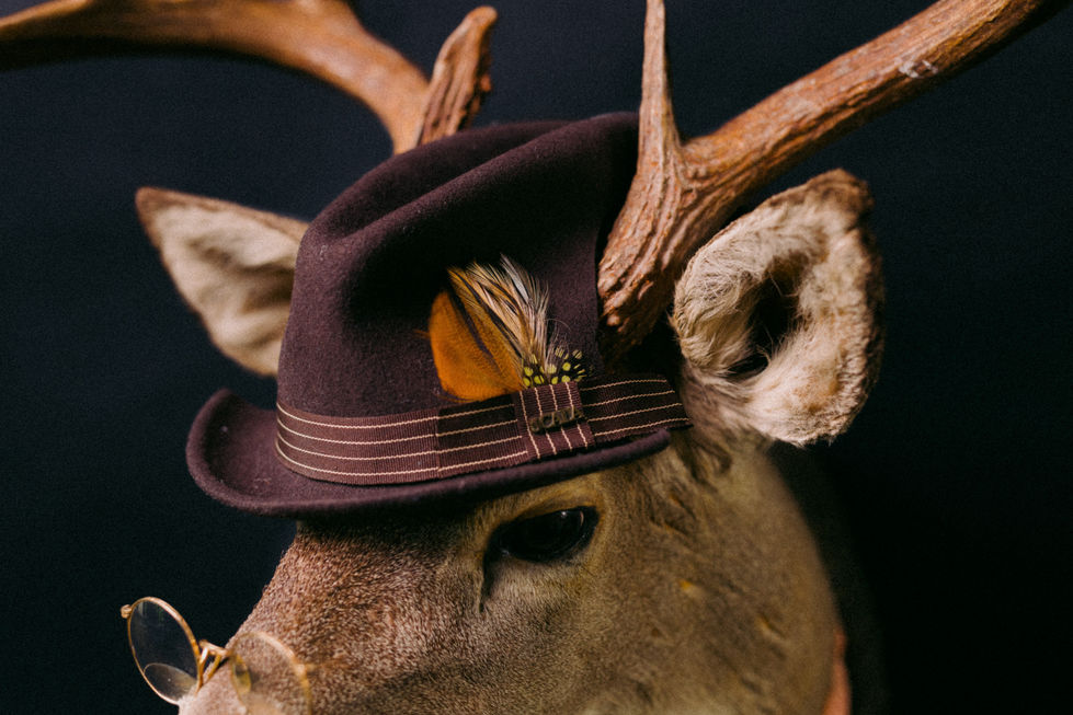 Dapper Deer 2-15.jpg