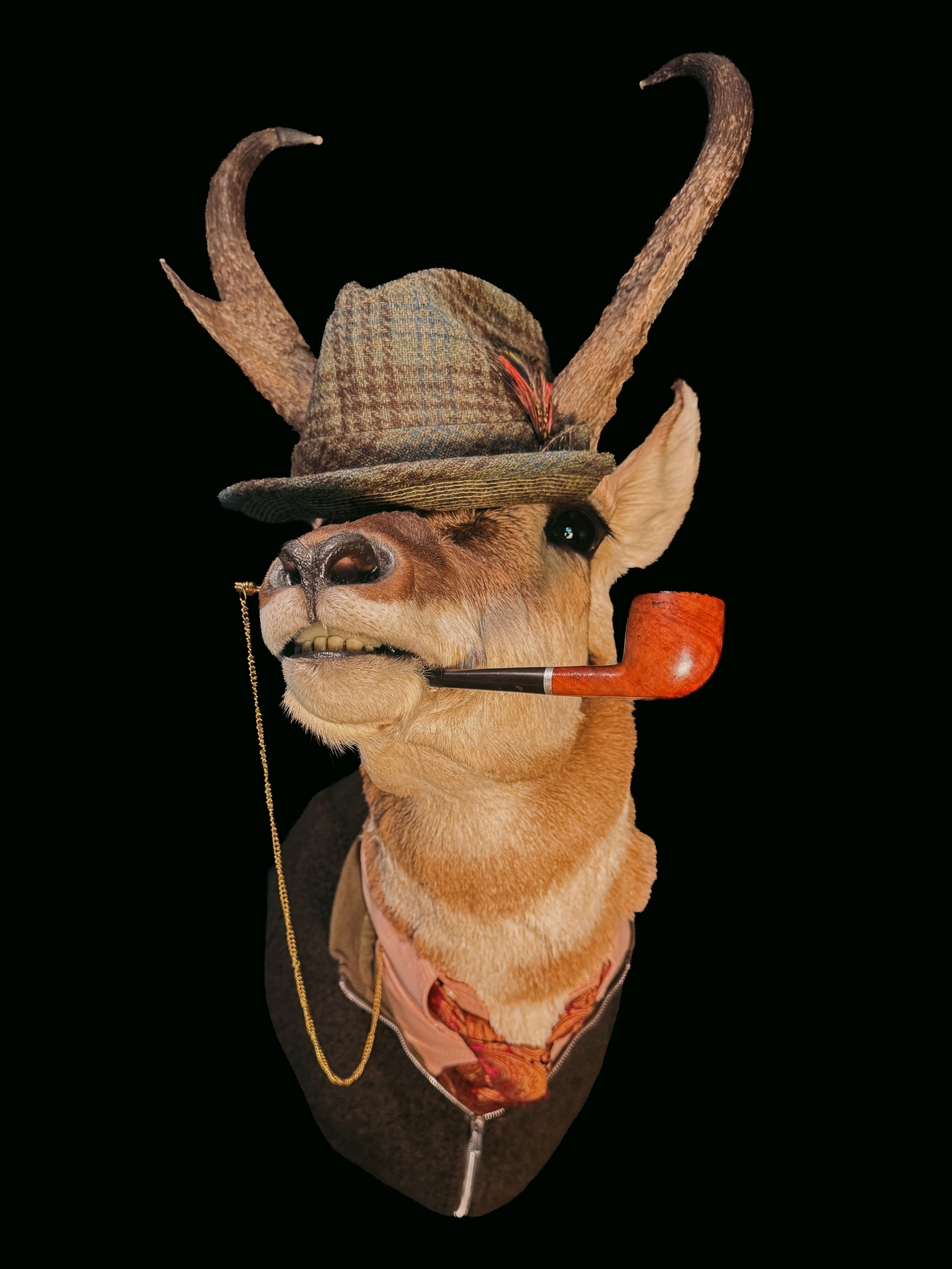 Butch