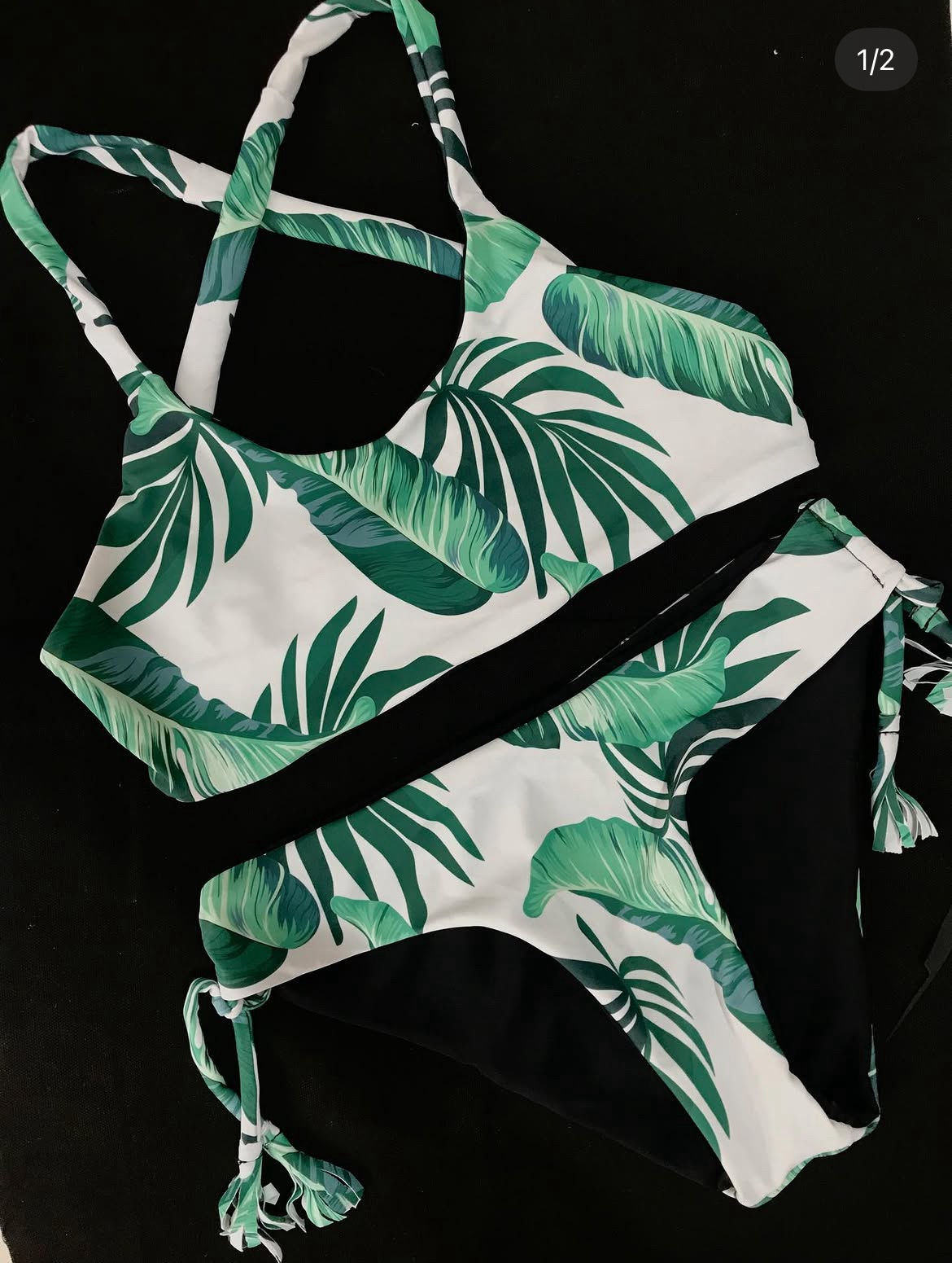 Bikini Plants 🌱🌱 M