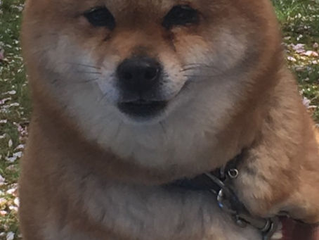 ダイエット頑張ろうね