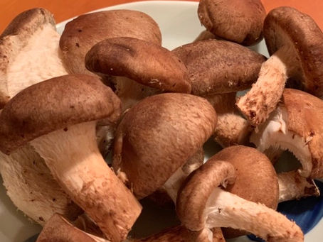 松茸じゃないけど