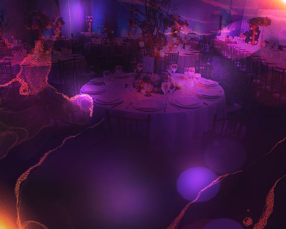 Gala background_edited.jpg