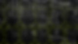 IGP Background.jpg