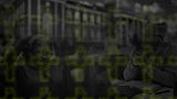 IGP Background.jpg
