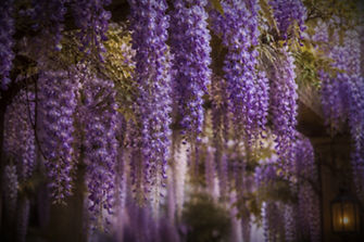 ChatGPT Image Jun 29, 2026, 09_09_32 PM_edited_edited.jpg