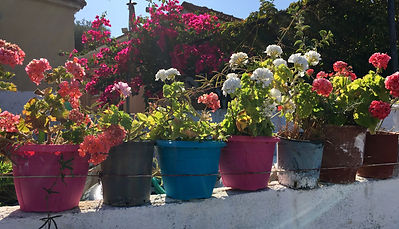 Kreta Herzensretreat.jpg