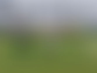 Resümee Saison 2024/2025 U13-U18 