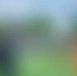 stolzer FC A11 Rapid Oberlaa Präsident - Rudi Wieselthaler