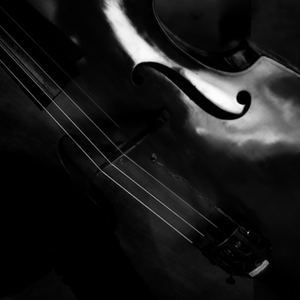 Black & White "Stuff" 