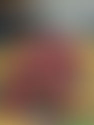 Die E2 des FVL mit besonderem Hallenspieltag