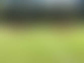 D2/3/4: Furioser Saisonstart mit maximaler Punkteausbeute