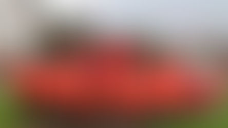 Bambini: Heimspielfest in Linkenheim