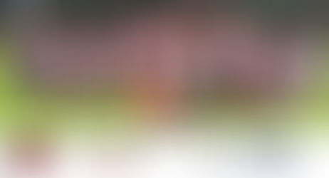 Neue Trikots für unsere E-Jugend dank der Firma Lauer