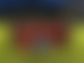 D1: Sieg im Pokalviertelfinale