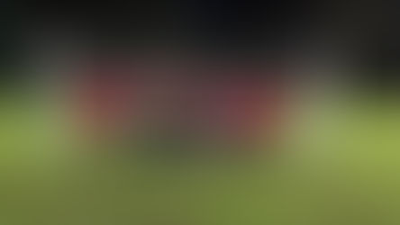 D1 feiert einen deutlichen Heimsieg