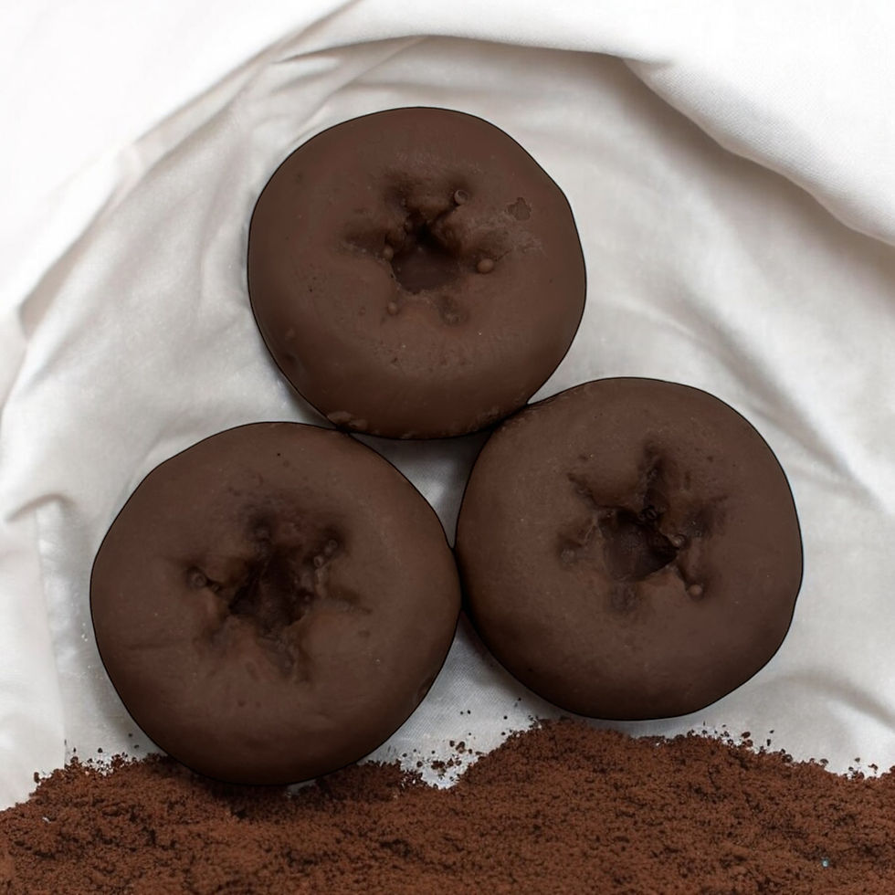 Three chocolate donuts and cocoa powder