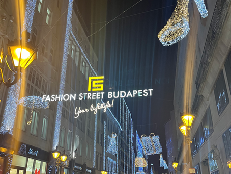 The Magic of Budapest's Christmas Markets Guide