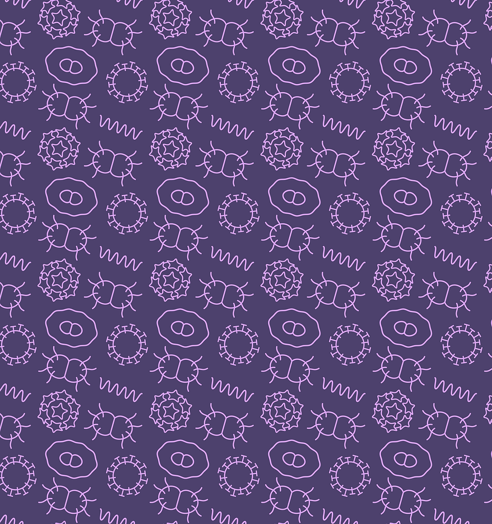 Pattern 2.png