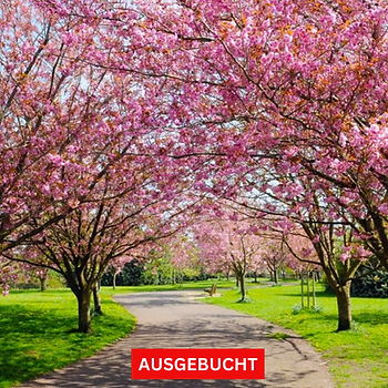 Image-empty-state_edited_edited_edited_e