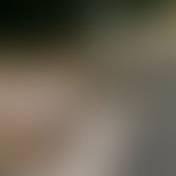 Return of Free Mattress & Sofa Disposal