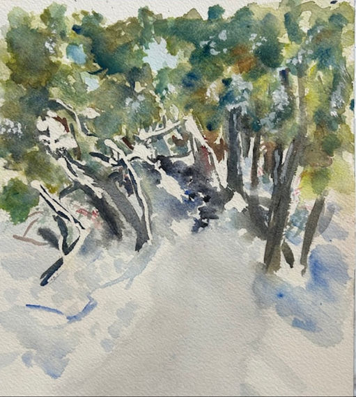 "Winter Copse"
Linda Bunce
Cool Ridge