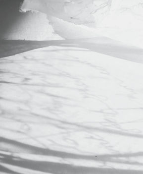 La%20Robe%20Ombres_edited.jpg