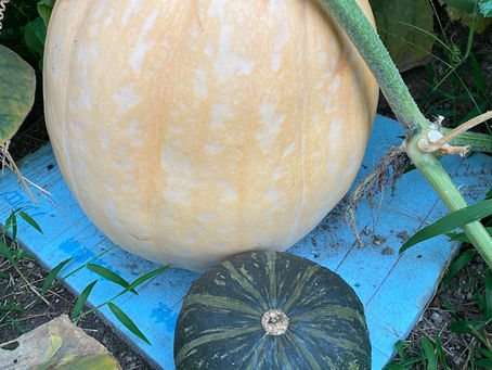 ジャック・オ・ランタン