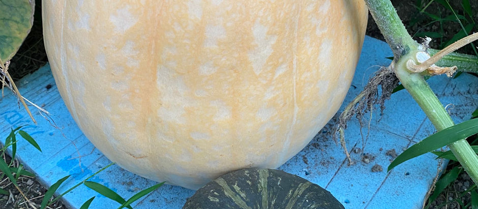 ジャック・オ・ランタン