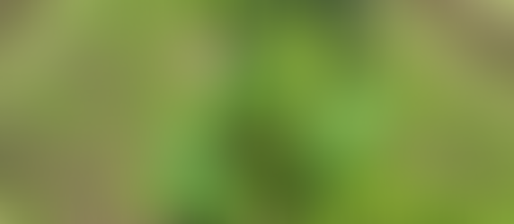 ジャック・オ・ランタン