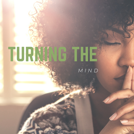 Turning the Mind {DBT Skill}
