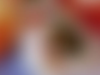 LIGHT ROLLED CHICKEN