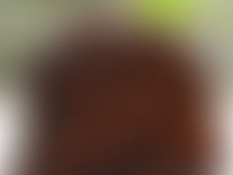 TORTA NEGRA DE CIRUELAS