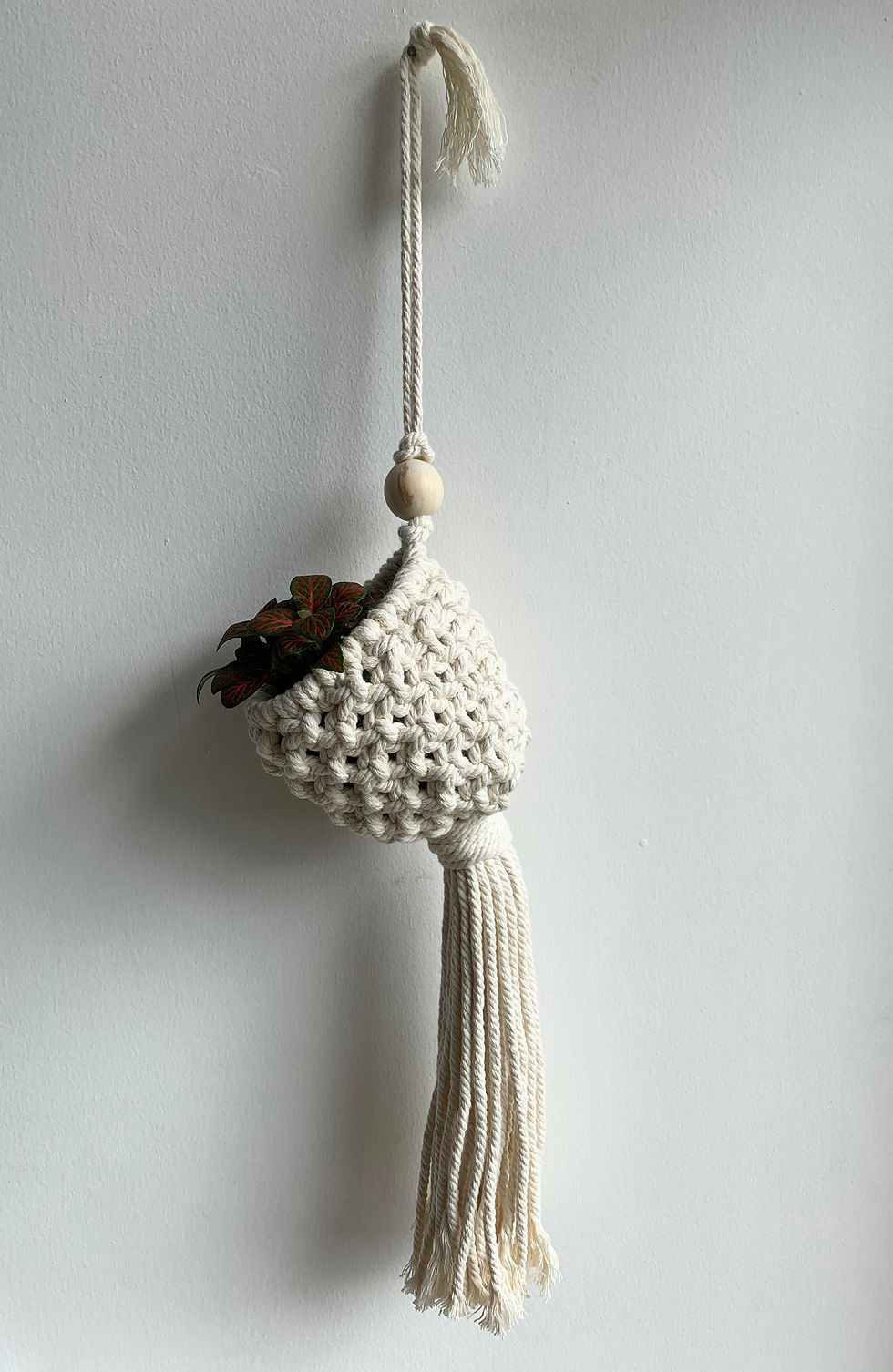 Thumbnail: Apsi Plant Hanger
