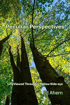 Peculiar Perspectives front cover.jpg