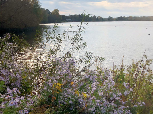 Finding the beauty in your local area (Hertfordshire edition)