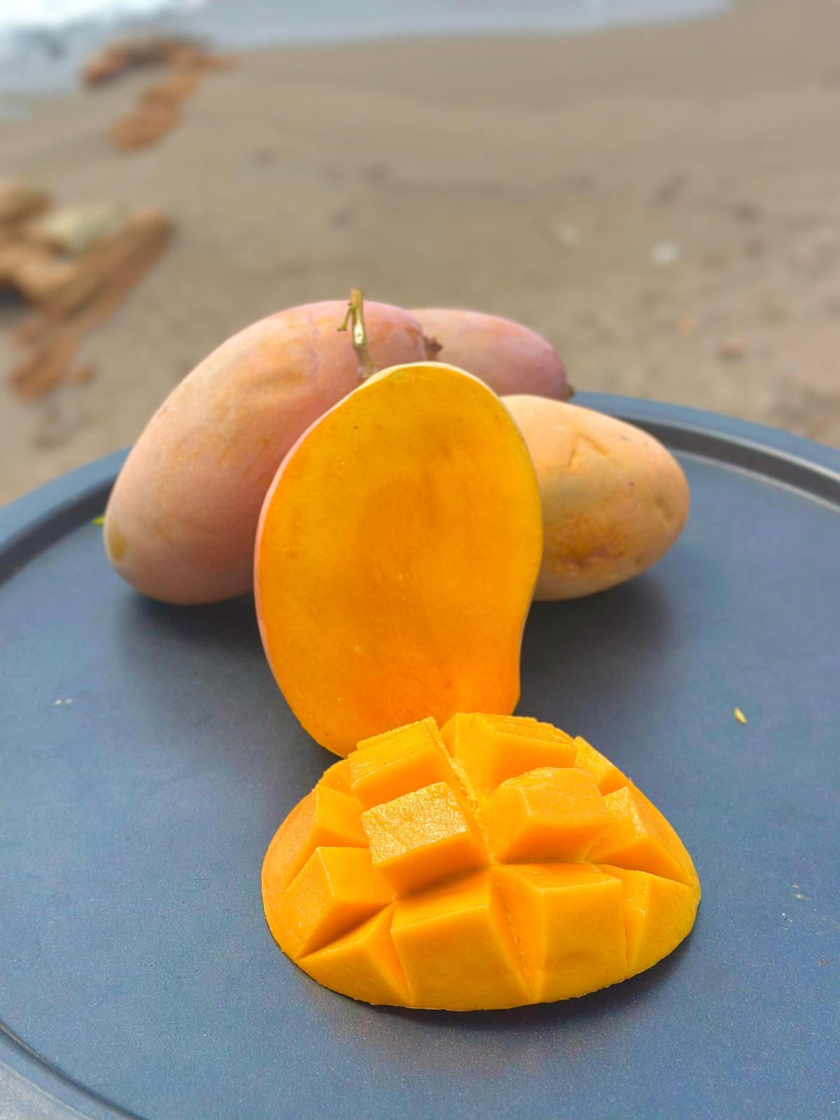 MANGO 3 ADET
