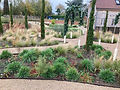Garden and planting design in Great Dunmow
