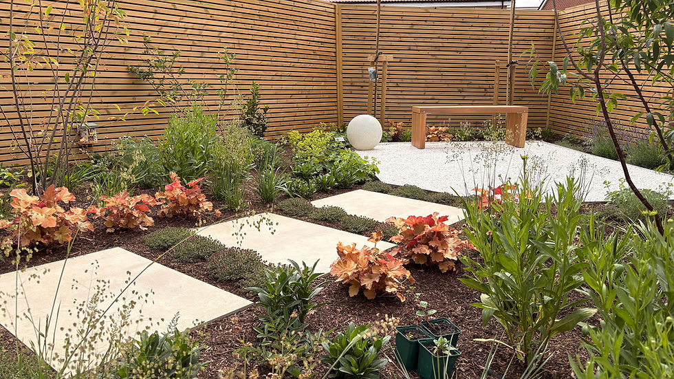 Planting in a new border