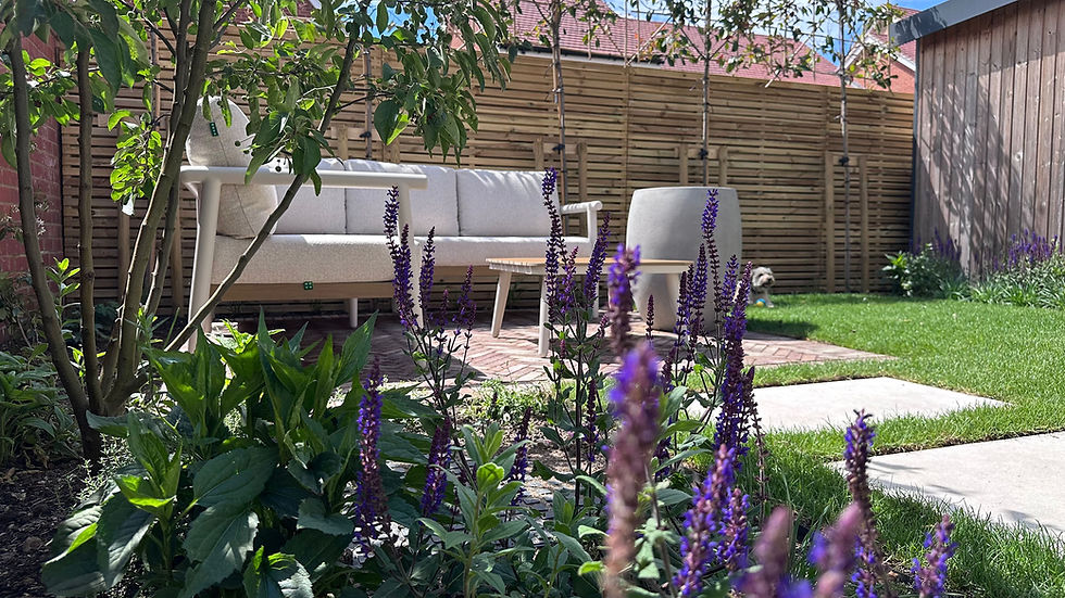 planting to sofa and puo landscape.jpg