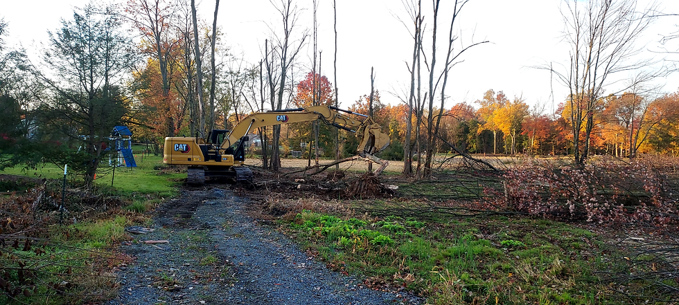 Land Clearing Contractor Near Me | Four Brothers Land Clearing, LLC
