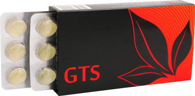 gts-2_16632374586581.png