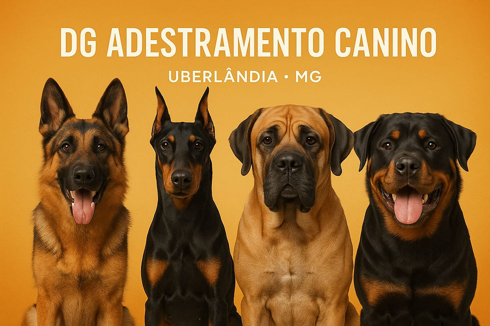 DG ADESTRAMENTO CANINO