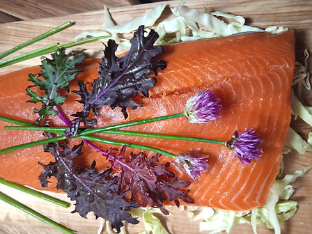 Fresh frozen wild Alaskan sockeye salmon