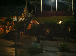 Nature beautiful and relaxing